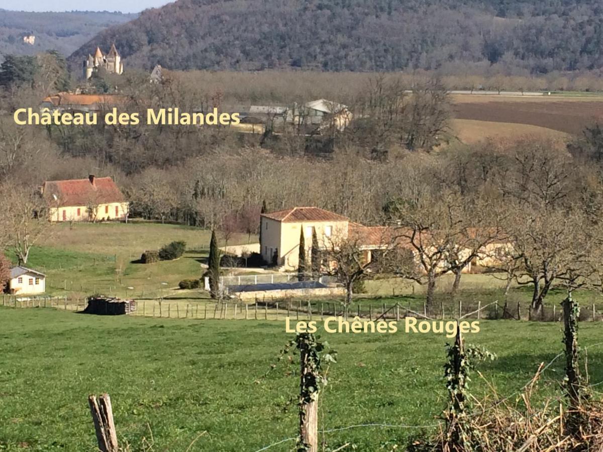 Les Chenes Rouges Bed & Breakfast Veyrines-de-Domme Exterior foto